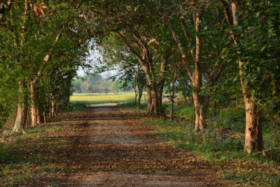 Ambala