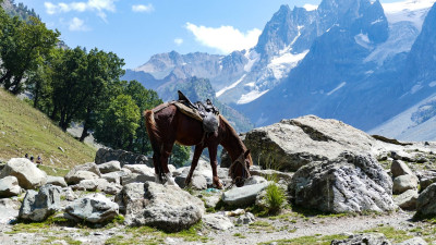 Aru Valley