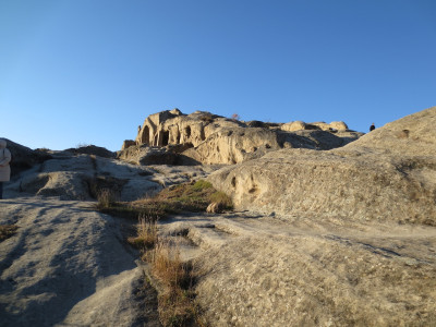 Gori