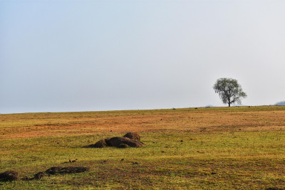 Jagdalpur