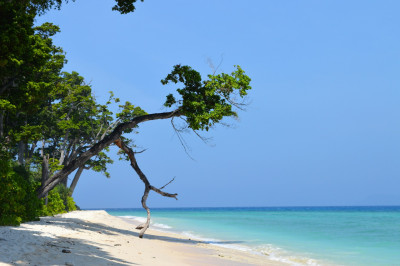 Jolly Bouy Island