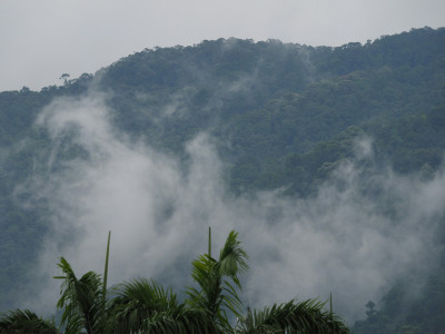 Kalimpong