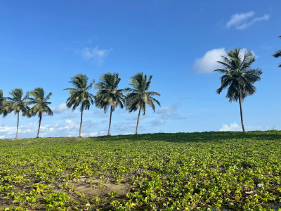 Liberia
