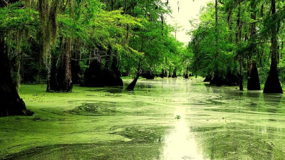 Louisiana