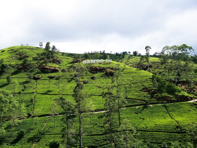 Nuwara Eliya