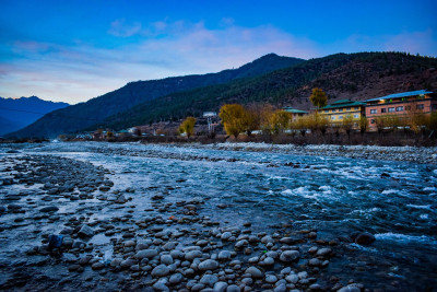 Paro