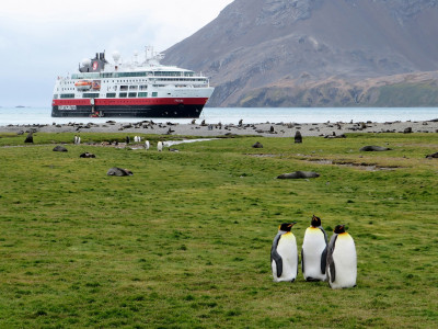 South Georgia and the South Sandwich Islands