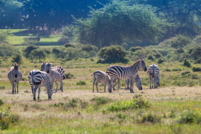 Destination image for Zambia