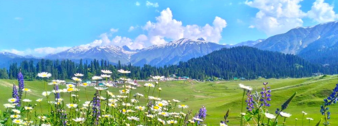 Best Kashmir Tulip Garden Tour Package - Kashmir Tulip Season Tour Package 4 Nights 5 Days with Houseboat &amp; Gulmarg Gondola